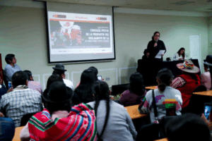 Aproximaciones sobre la participación de las mujeres indígenas en los procesos de consulta previa