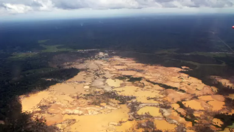 La deforestación como indicador del Perú actual