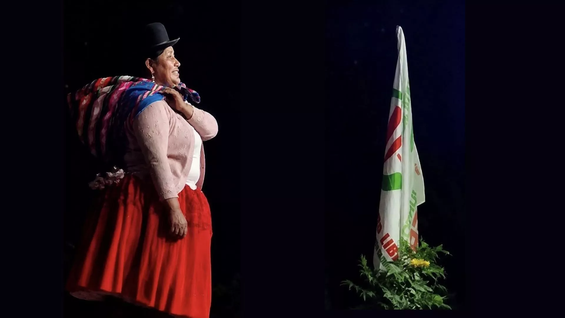 Brígida Curo